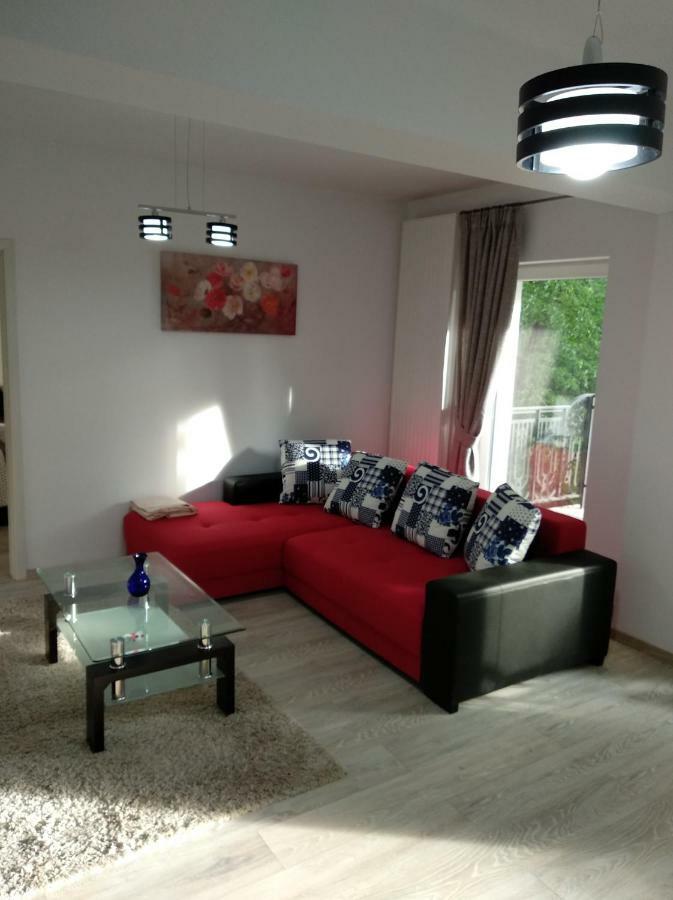 Apartament Ramona Apartment Brasov Exterior photo