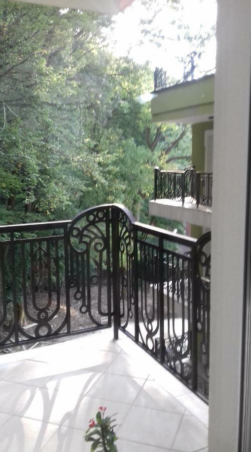Apartament Ramona Apartment Brasov Exterior photo
